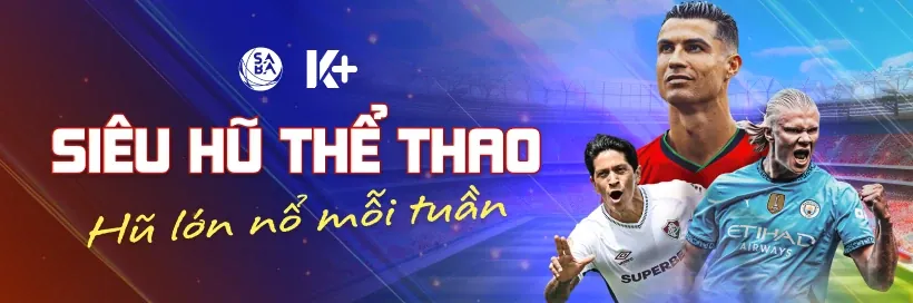 Hoàn trả cược Subet